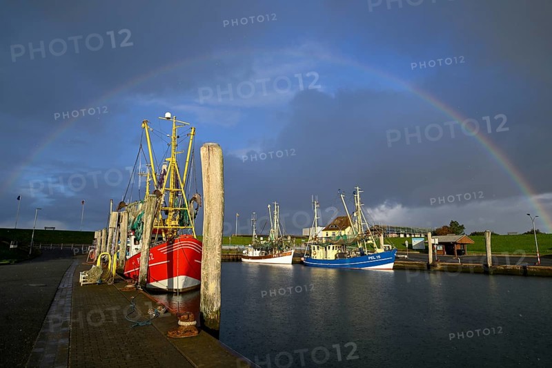 Fishing boats in the harbour of Tammensiel, rainbow, Pellworm Island, Schleswig-Holstein Wadden Sea National Park, North Frisia, Germany, Europe