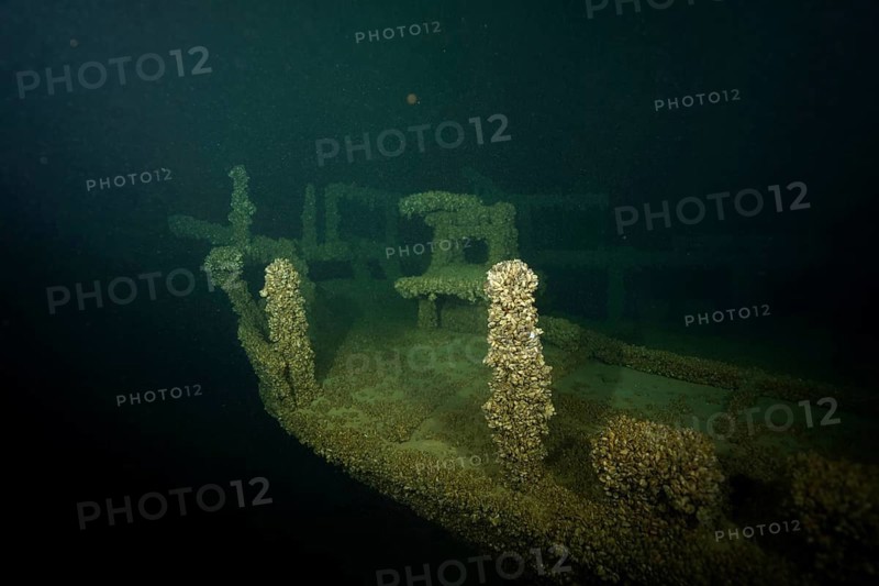 Dark underwater image of an abandoned shipwreck, covered with mussels, quagga triangle mussel (Dreissena rostriformis bugensis), invasive species, dive site wreck of the Jura, Lake Constance, Bottighofen, Switzerland, Münsterlingen, Germany, Europe