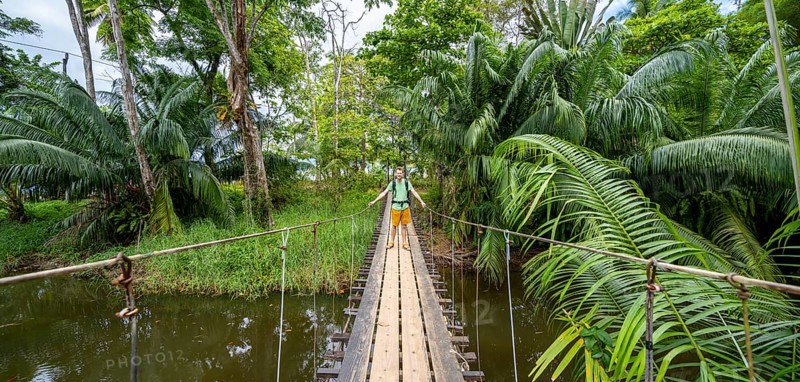 Man standing on a suspension bridge, Osa Peninsula, Punterenas Province, Costa Rica, Central America