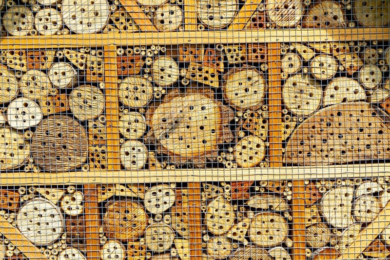 Insect hotel, wildflower meadow at the park cemetery in Essen, the city's largest cemetery, North Rhine-Westphalia, Germany, Europe