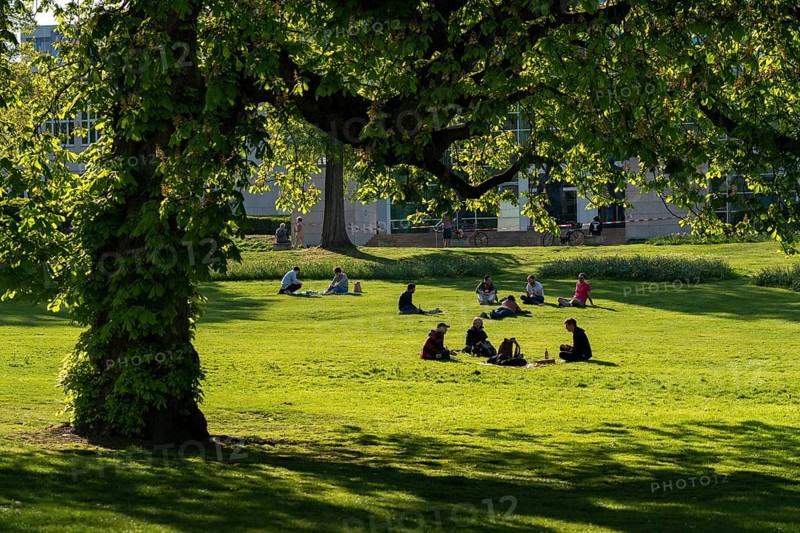 Stadtgarten in Essen, in the city centre, most visitors adhere to the contact ban while enjoying the sun in the municipal park, effects of the corona crisis in Germany