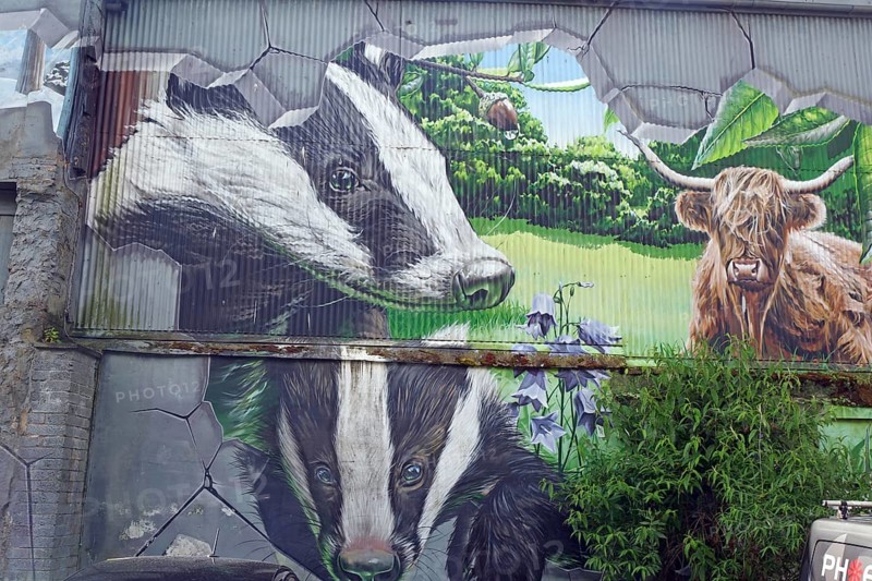 A mural showing two badgers and a Highland cow in a natural setting, Mural Trail, Glasgow, Scotland, United Kingdom, Europe