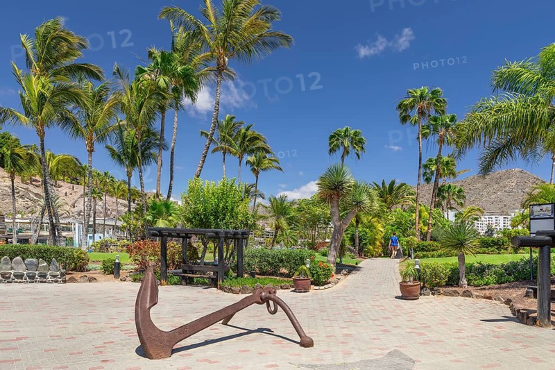 Park in Anfi del Mar, Playa de la Verga, Arguineguin, Gran Canaria, Canary Islands, Spain, Anfi del Mar, Playa de la Verga, Gran Canaria, Canary Islands, Spain, Europe
