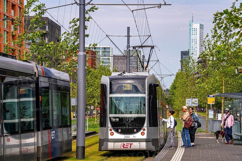 Urban greening, inner-city street Laan op Zuid, in Rotterdam's Feijenoord district, 4 lanes, 2 tram tracks, cycle paths on both sides, pavements and parking lanes, planted with hundreds of plane trees over around 1.5 km, providing shade, cooling in summer, tram tracks with grass surface, less surface sealing, urban climate, microclimate in the city, Rotterdam, Netherlands