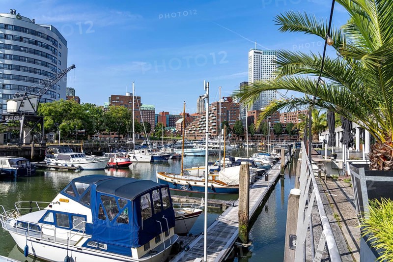 Rotterdam Marina, sports boat harbour, sailing boats, motor yachts, in the inland harbour, Feijenoord district, Rotterdam, Netherlands