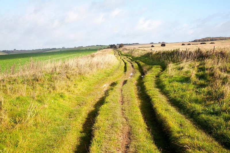 The Ridgeway long distance footpath dating from prehistory near its start on Overton Hill, Marlborough Downs, Wiltshire, England, UK