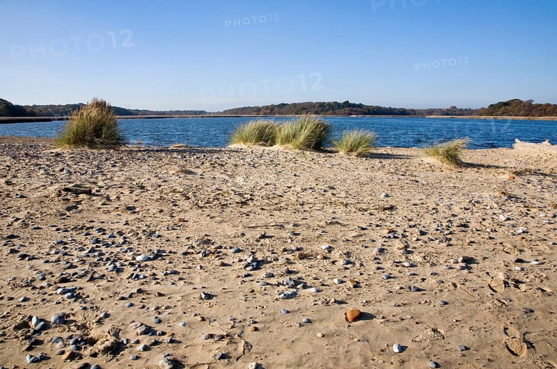 Benacre Broad lake is separated from the sea by the shingle beach bar of Benacre Ness, Suffolk, England, United Kingdom, Europe