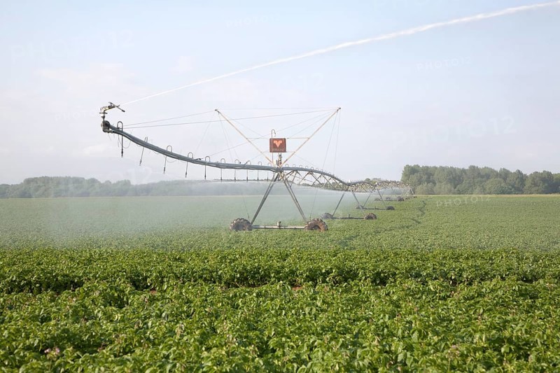Large field irrigator machine spraying a crop of potatoes, Hollesley, Suffolk, England, United Kingdom, Europe