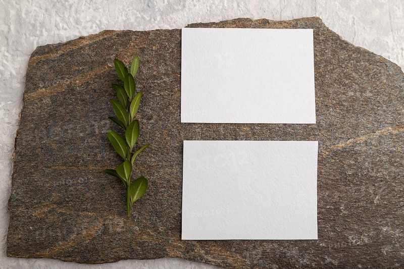 White paper business card, mockup with natural stone and boxwood branch on gray concrete background. Blank, flat lay, top view, still life, copy space