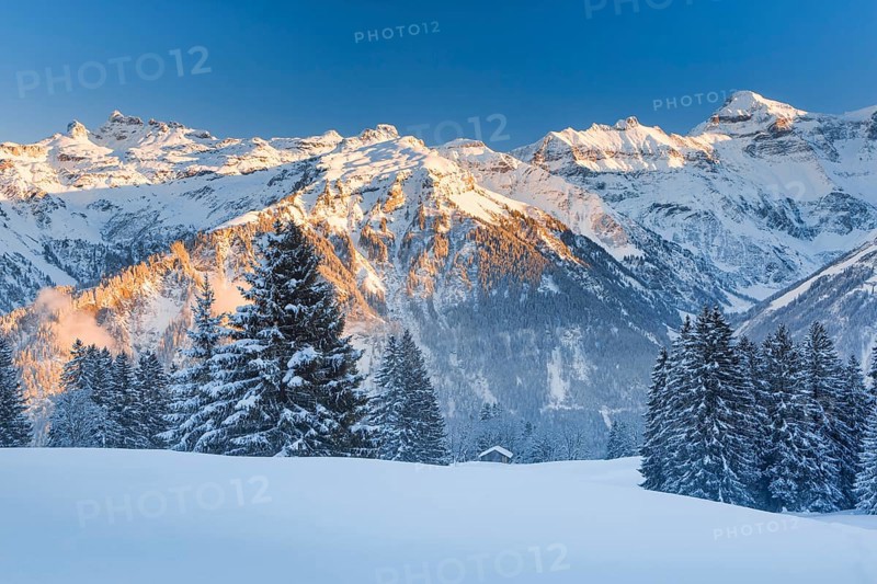 View from Braunwald to the Freiberge mountains Kärpf, Hanenstock and Hausstock in the Glarus Alps, Switzerland, Europe
