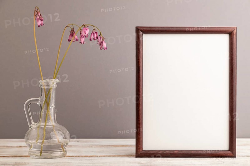 Wooden frame with pink dicentra, broken heart in glass on gray pastel background. side view, copy space, mockup, template, spring, summer minimalism concept