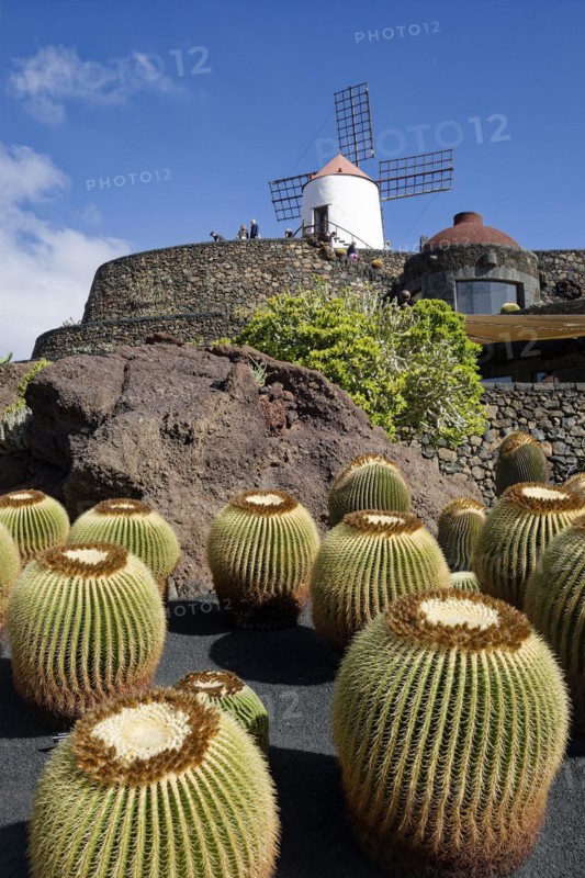 Cactus garden, Jardin de Cactus, designed by the artist César Manrique, behind the restored gofio mill, Lanzarote, Canary Islands, Canary Islands, Spain, Europe
