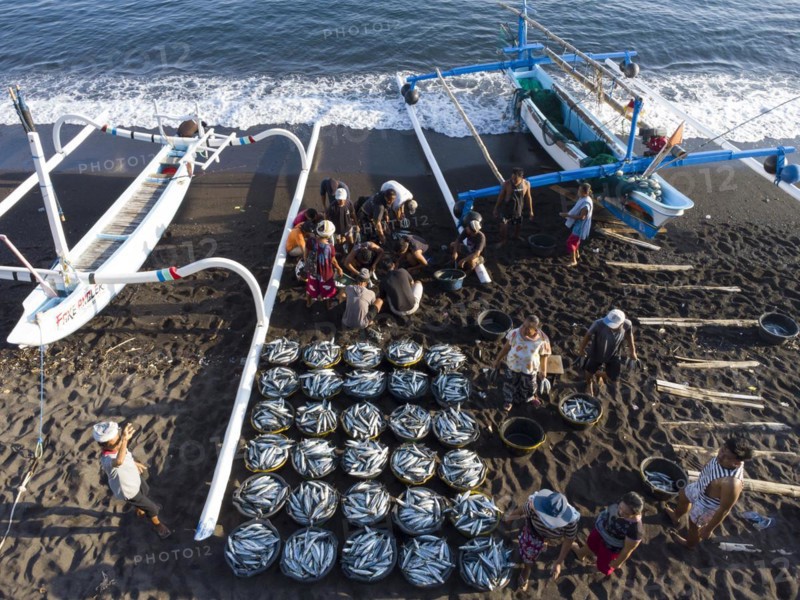 sorting, bucket, beachIndonesia, Bali, Amed, fishermen come back from fishing with their outrigger boats and unload fish