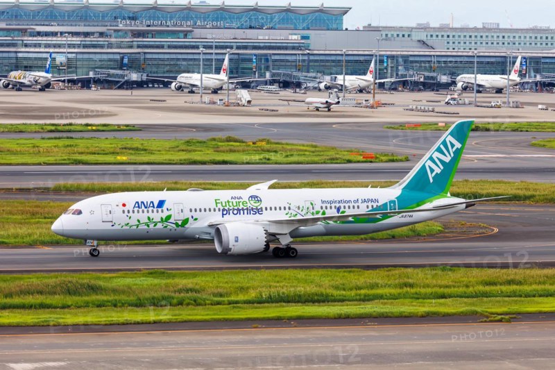 A Boeing 787-8 Dreamliner aircraft of ANA All Nippon Airways with the registration JA874A and the Future Promise special livery at Tokyo Haneda Airport, Japan, Asia