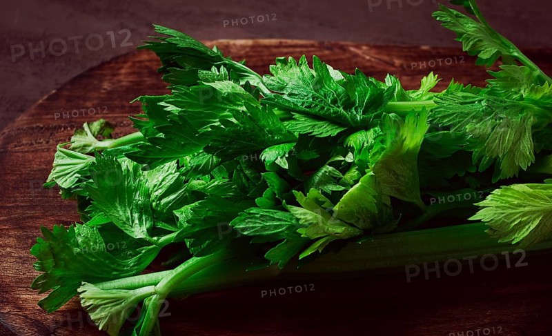 Fresh bunch of celery, top view, no people, on a dark background