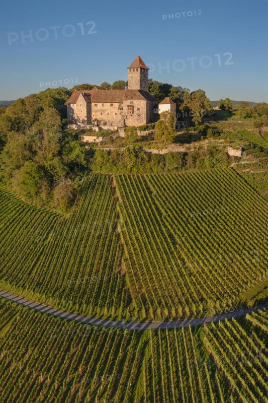 Lichtenberg Castle, Oberstenfeld, Bottwartal, Baden-Württemberg, Germany, Oberstenfeld, Baden-Württemberg, Germany, Europe