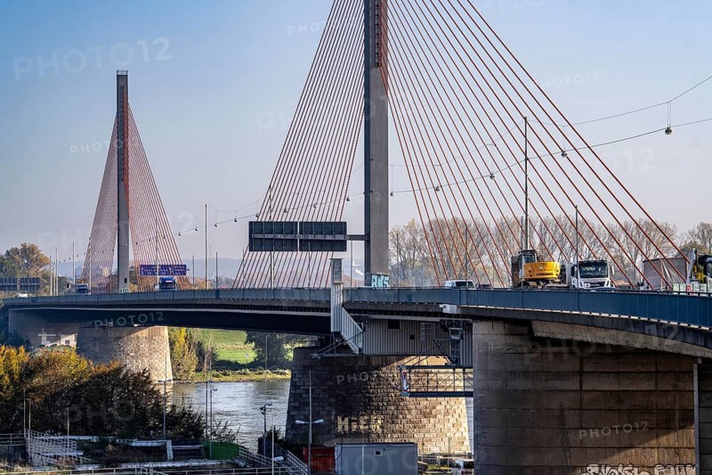 Friedrich Ebert Bridge over the Rhine near Bonn, also known as the North Bridge, motorway bridge on the A565, cable-stayed bridge, North Rhine-Westphalia, Germany, Europe