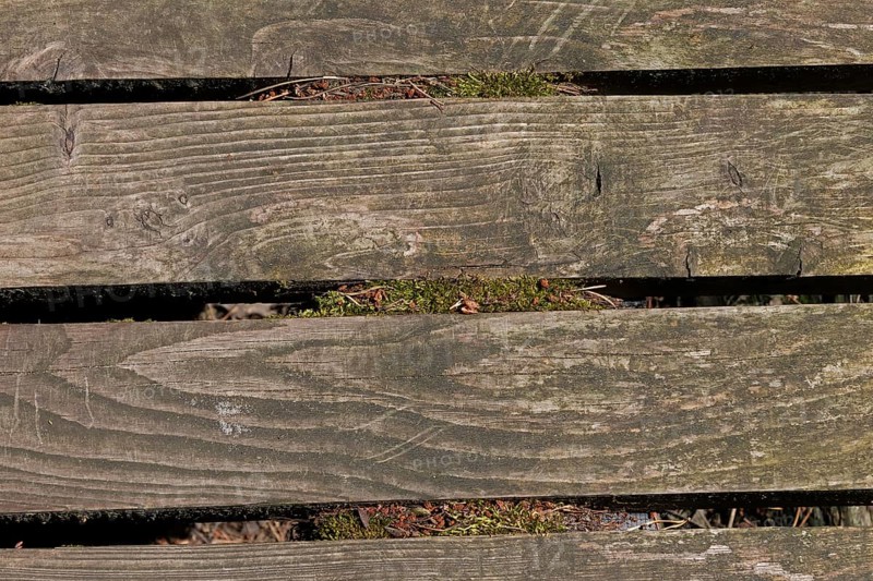 Wooden footbridge, circular hiking trail, Darßer Ort, Born a. Darß, Mecklenburg-Western Pomerania, Germany, Europe