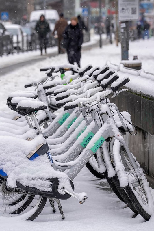 Winter in the city, snow-covered rental bikes from Nextbike, animal, Hauptwache, Frankfurt am Main, Hesse, Germany, Europe