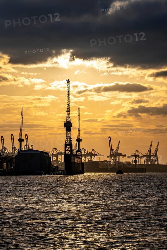 Port of Hamburg, view of the Blohm + Voss shipyard, evening, cranes of the container terminals, Hamburg Germany