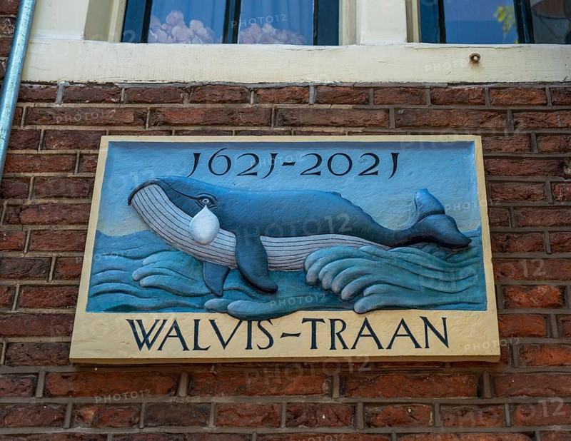 400 year old house, Walvis-Traan, on a canal in Amsterdam, Netherlands