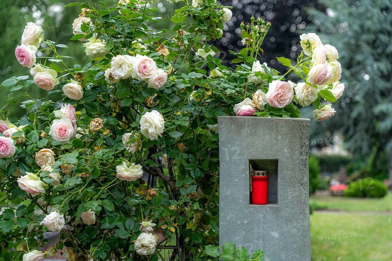 Cemetery, family grave, modern gravestone, with flower and grave light, North Rhine-Westphalia, Germany, Europe