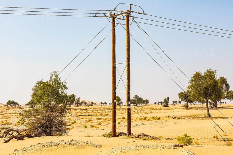 Electricity pylon and green trees in a sandy plain of the Rub al Khali desert, Dhofar province, Arabian Peninsula, Sultanate of Oman