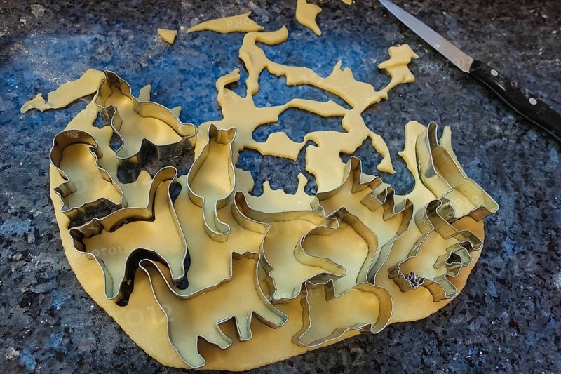 Swabian cuisine, Swabian Christmas biscuits, preparation of cookie cutters, shortbread biscuits, cat figures, cutting out raw dough with moulds, typical Swabian, baking, flour, Christmas biscuits, sweet biscuits, Gutsle, Bredle, baked goods, from the oven, traditional cuisine, food photography, studio, Germany, Europe