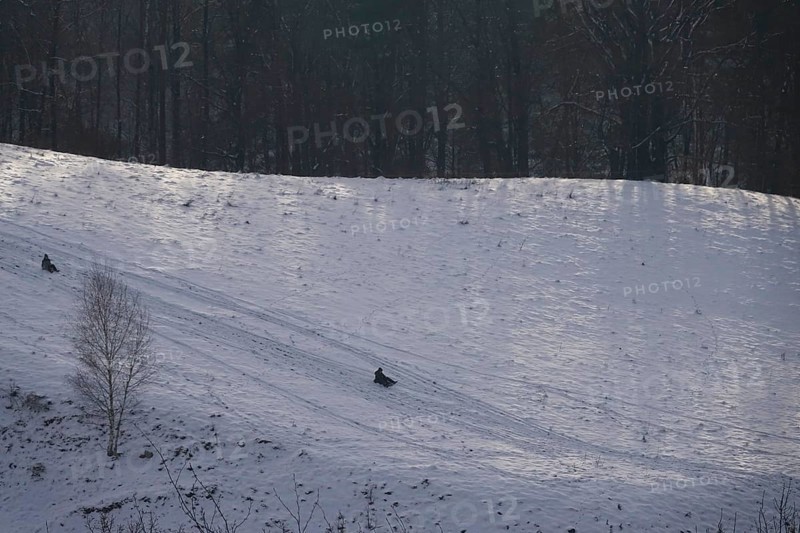Sledging, Winter, Germany, Europe