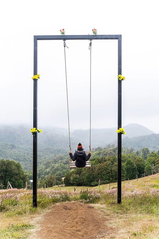 Young woman sits on a swing, Cerro Pico de Novio, Chiloe, Chile, South America