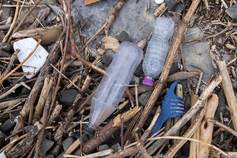 Symbolic image environmental pollution, plastic waste, rubbish, flotsam from a flood on the Neckar river, wood, bottles, Poppenweiler, Baden-Württemberg, Germany, Europe