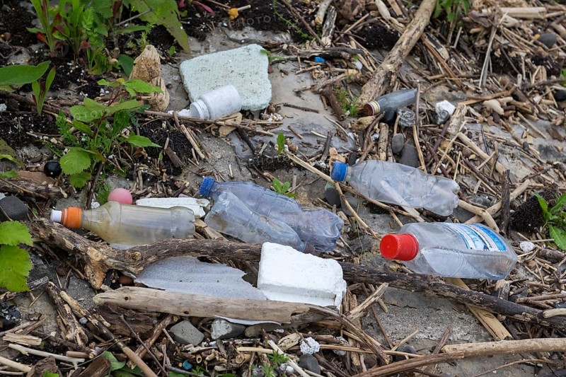 Symbolic image environmental pollution, plastic waste, rubbish, flotsam from a flood on the Neckar river, wood, bottles, Poppenweiler, Baden-Württemberg, Germany, Europe