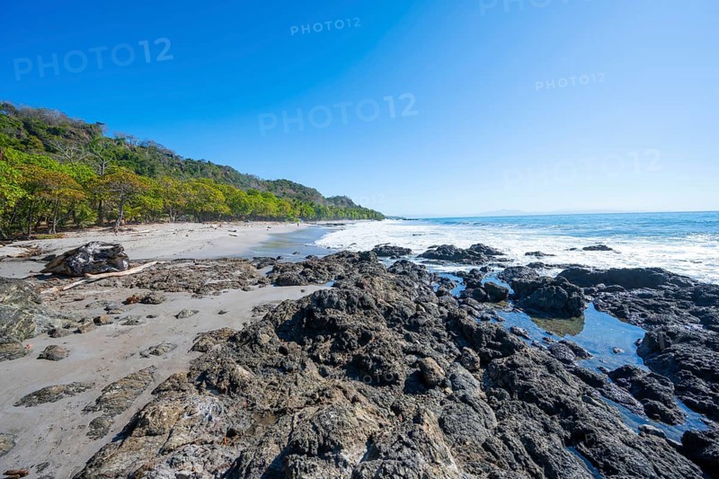 Tropical sandy beach with palm trees, Playa Montezuma, Montezuma, Nicoya Peninsula, Puntarenas Province, Costa Rica, Central America