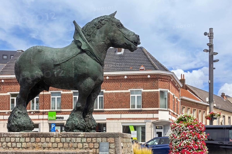 Prins, bronze statue of Brabant draft, draught horse by Belgian sculptor Koenraad Tinel at market of Sint-Kwintens-Lennik, Flemish Brabant, Belgium, Europe