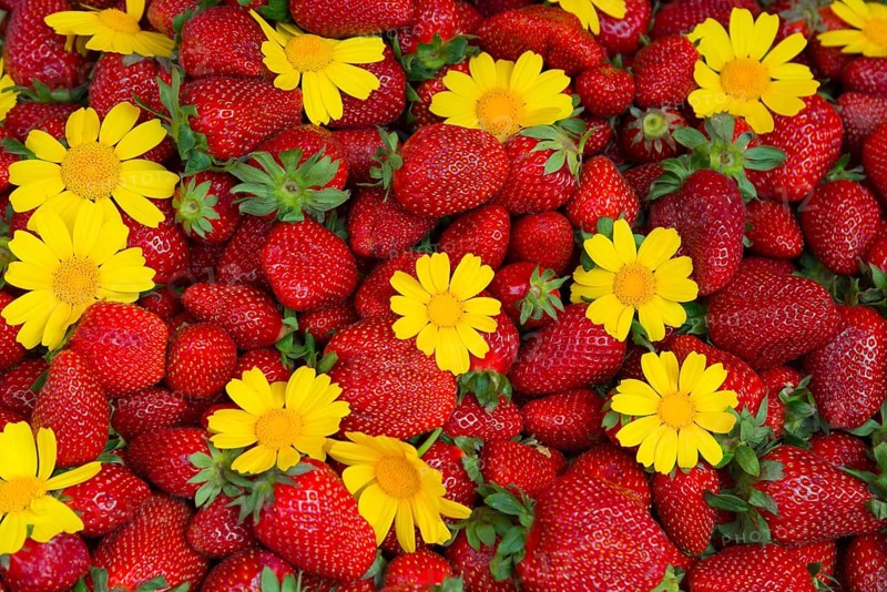 Lively arrangement of fresh strawberries and yellow flowers, natural blaze of colour, market, Nafplio, Nauplia, Nauplion, Nafplion, Argolis, Peloponnese, Greece, Europe