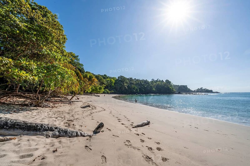 Idyllic tropical sandy beach, Playa Escondida, Manuel Antonio National Park, Puntarenas district, Costa Rica, Central America
