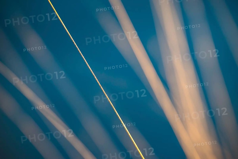 Stalks of moor grass (Molinia) glow in front of dark, blue moor water in the warm light of the evening sun, abstract, artistic depiction, Pietzmoor nature reserve, Lüneburg Heath, Lower Saxony, Germany, Europe