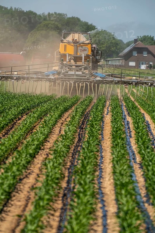 A maize field, with young plants, is fertilised with liquid manure, self-propelled slurry tanker, near Geldern, North Rhine-Westphalia, Germany, Europe