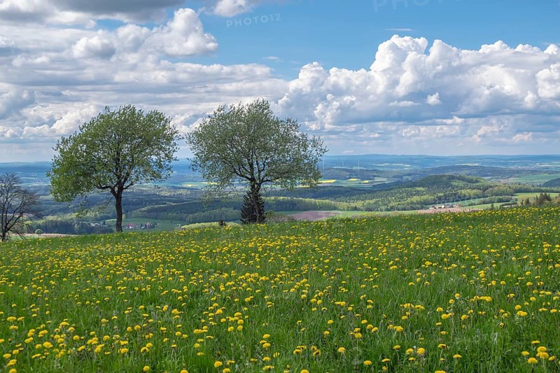 View from the Maulkuppe, mountain in the Hessian Rhön nature park Park, Hesse, Germany, Europe