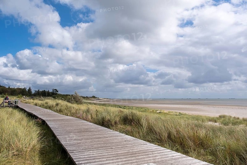 Boardwalk between Nieblum and Greveling, North Sea island of Föhr, Schleswig-Holstein, Germany, Europe
