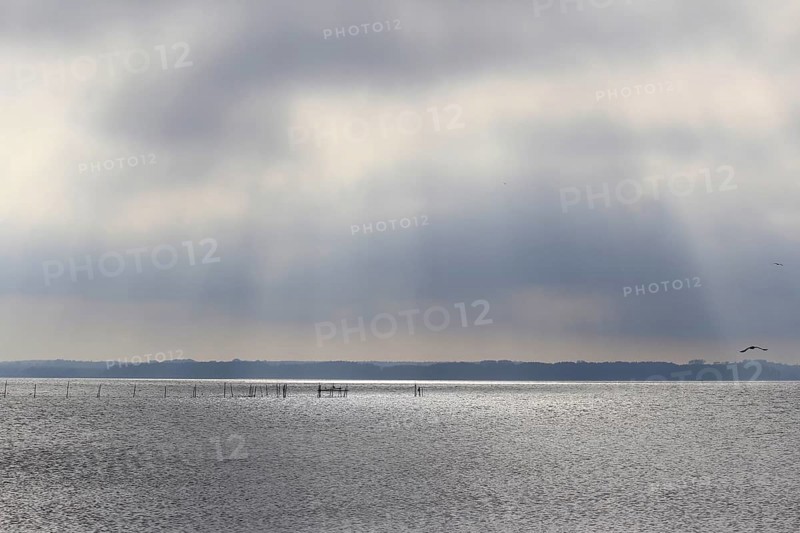 Usedom, on the Achterwasser, September, Mecklenburg-Western Pomerania, Germany, Europe
