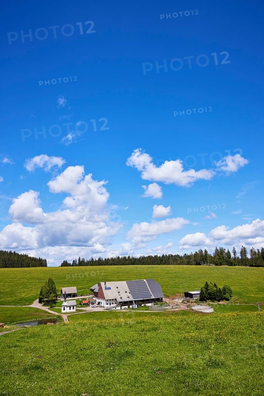 Farmstead with solar cells in a landscape with meadows and forest under a blue sky with cumulus clouds near Furtwangen im Black Forest, Black Forest, Black Forest-Baar-Kreis, Baden-Württemberg, Germany, Europe