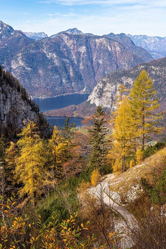 View from the slopes of the Dachstein mountains to the hiking trail to the ice cave. Lake Hallstatt in the background. Yellow larches. Autumn, good weather, some clouds. Lake Hallstatt, Salzkammergut, Upper Austria, Austria, Europe
