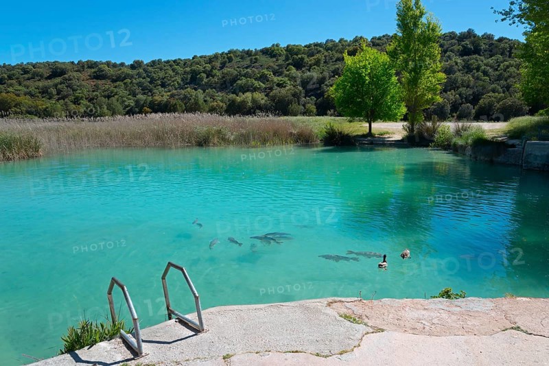 Clear lake with ducks and fish, surrounded by green trees and hills, under a blue sky, Baño de las Mulas, Bano, Lagunas de Ruidera National Park, Ossa de Montiel, Albacete province, Castilla-La Mancha, Spain, Europe