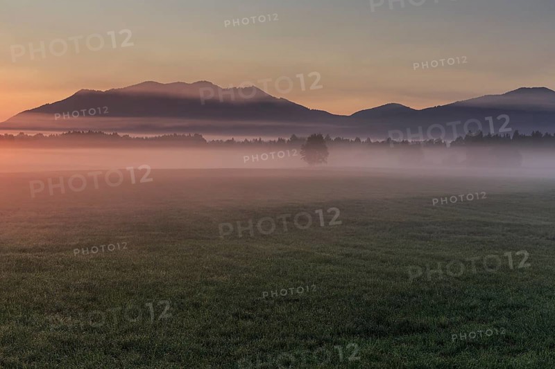 Foggy mood, morning light, mountains, summer, Loisach-Lake Kochel moor, behind Zwiesel, Alpine foothills, Bavaria, Germany, Europe