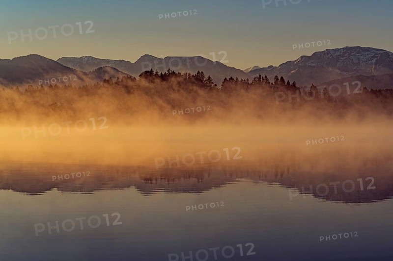 Autumnal morning atmosphere at Schmutter Weiher with fog near Lechbruck, Halblech and Roßhaupten in Allgäu, Bavaria, Germany, Europe