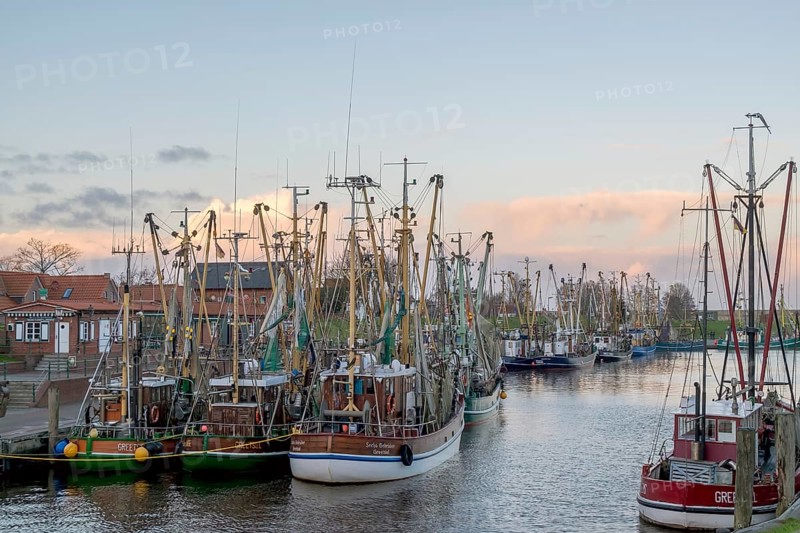 Crab cutter in the harbour of Greetsiel, the largest cutter fleet in East Frisia, Greetsiel, East Frisia, Lower Saxony, Germany, Europe