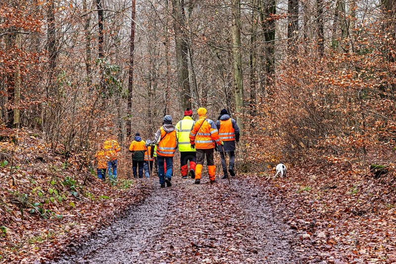 Driven hunt, party hunt in Schönbuch near Böblingen. Drivers in protective clothing drive the game out of the forest, Baden-Württemberg, Germany, Europe