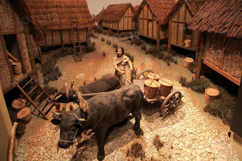 Model of Iron Age village life, Iron Age museum, Andover, Hampshire, England, UK