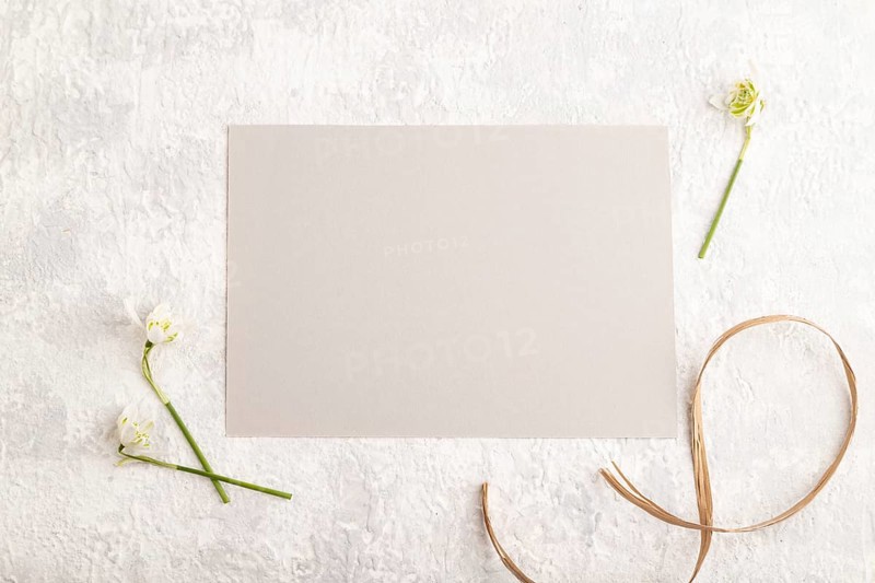 Gray paper sheet mockup with spring snowdrop galanthus flowers on gray concrete background. Blank, business card, top view, flat lay, copy space, still life. spring concept